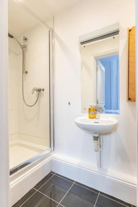 布赖顿Victorian Flat Close To Station With Large Garden公寓 外观 照片